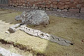 Chinchero, main square, little zigzagging gutter